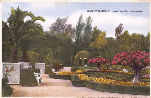 L264 Deutschland Bad Pyrmont Partie aus dem Palmengarten Blumen Stühle Postkarte