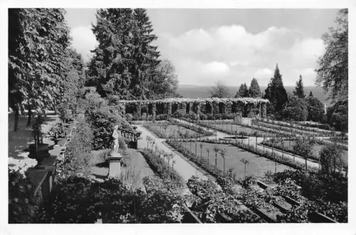 L342 Deutschland Insel Mainau im Bodensee Rosengarten RPPC Vintage Postkarte