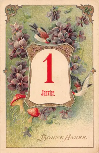 L180 Neujahrsgrüße 1907 Vögel Blumen Pilze Glück geprägt Postkarte