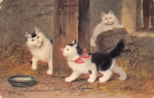 A096 Künstlerkarte 1905 Schwarz-Weiß Kätzchen spielen im Heu Milchschale Postkarte