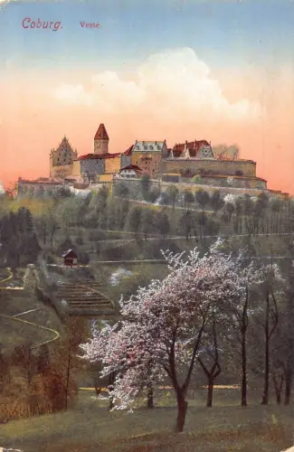 L181 Deutschland Coburg Veste Festung Dröhnender Baum Vintage Postkarte