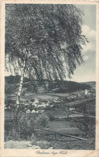 L182 Deutschland 1929 Grafenau Bayr Wald Vintage Postkarte