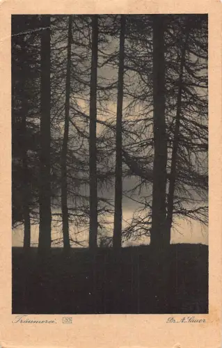 L182 Deutschland Fraeumerei Dr A Sauer Prospekt Verlag H Luedorff Bäume Postkarte