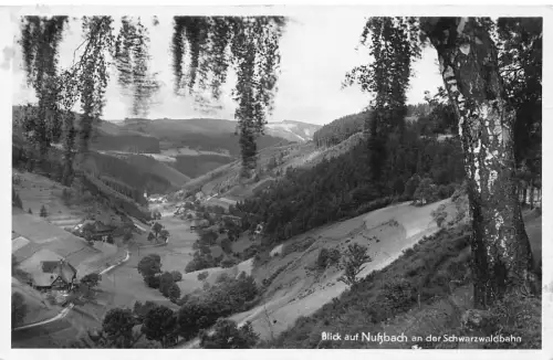 L188 Deutschland Nußbach an der Schwarzwaldbahn Panoramablick RPPC Postkarte