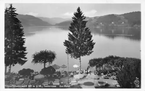 L188 Deutschland Titisee Schwarzwald Terrasse See Hotel Regenschirme RPPC Postkarte