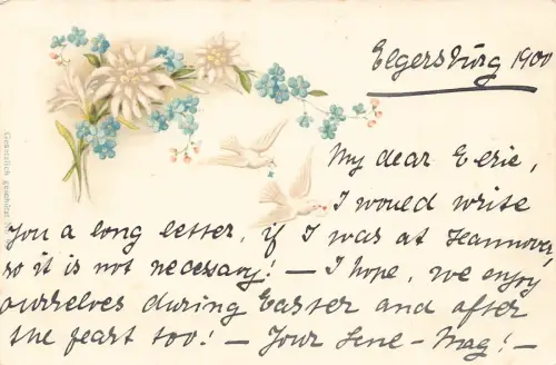 A092 Gruß 1900 Edelweiß und Vergissmeinnicht Blumen Tauben Brief Postkarte