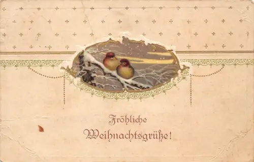 A092 Weihnachtsgrüße 1912 Vögel auf Zweig Schnee Passepartout Vintage Postkarte