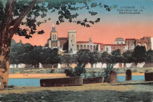 C019 Frankreich, Avignon Il vue prise de la Barthelasse Postkarte