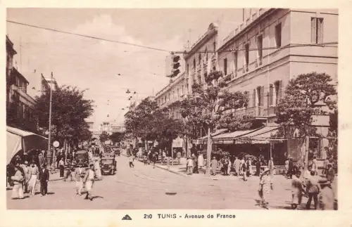 B663 Tunesien Tunis Avenue de France Vintage Postkarte