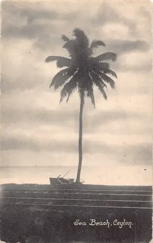 B664 Sri Lanka Ceylon Sea Beach Railway Vintage Postkarte