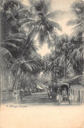 B664 Indien 1904 Bombay Mumbai Dorfszene Vintage Postkarte