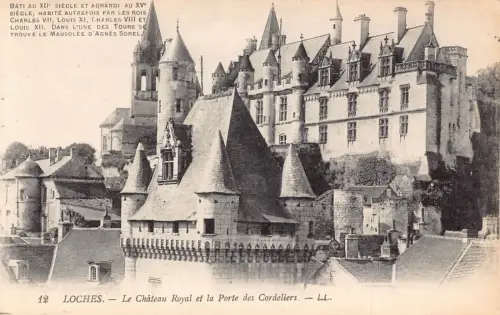C021 Frankreich, Loches Le Chateau Royal et la Porte des Cordeliers Vintage Postkarte