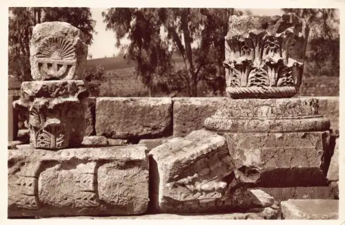 B177 Palästina Galilea Synagoga Capharnaum RPPC Postkarte