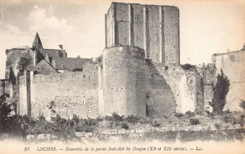 C021 Frankreich, Loches Gesamtansicht der S.E. Teil der Donjon Vintage Postkarte