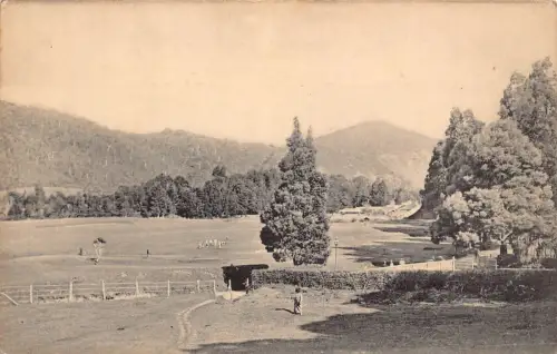 B667 Sri Lanka Ceylon Golf Links Nuwera Eliya Vintage Postkarte