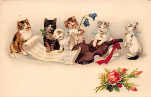 Musik Humanisierte Katzen Kätzchen singen spielen Gitarre Rose Blumen Postkarte B926