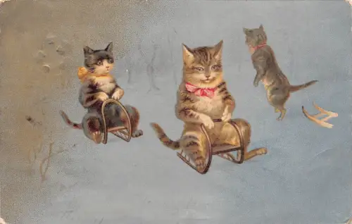 Tiere vermenschlicht verspielte Katzen auf Schlitten anthropomorph 1905 Postkarte B925