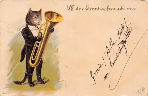 Musik 1901 Humanisierte Katze im Kostüm Trompetenspieler Vintage Postkarte B925