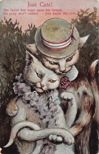 Tiere anthropomorphe vermenschlichte Katzen Paar Liebe Romantik Postkarte B923
