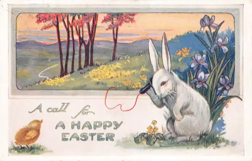 Ostergrüße vermenschlichtes Kaninchen Telefon Küken Veilchen 1916 Postkarte B926