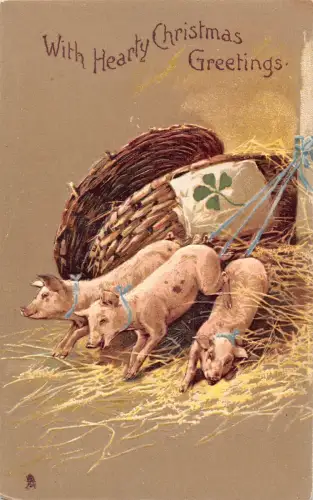 Weihnachtsgrüße Humanisierte Kleeblatt Schweine in Spitze 1905 Prägepostkarte B922