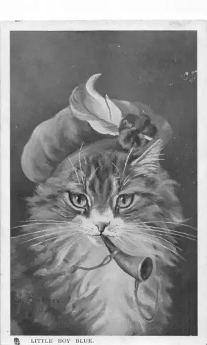 Tiere vermenschlichte Katze kleiner Junge blau anthropomorph 1906 Postkarte B923
