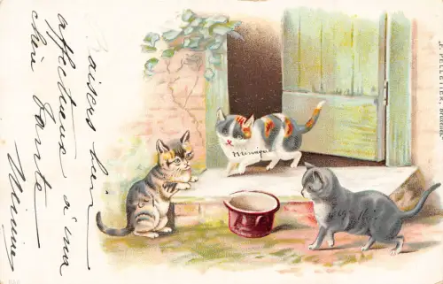 Tiere Kätzchen Katzen Milchtopf Tür Bauernhof Vintage Postkarte B926