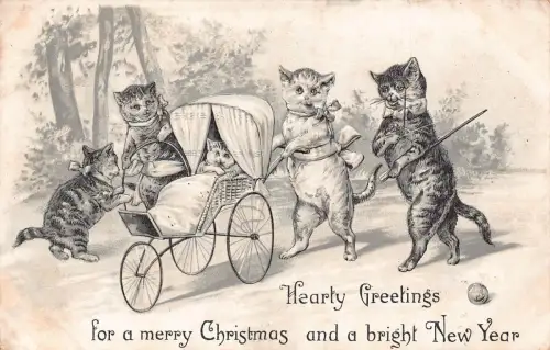 Tiere vermenschlicht Katzen Familie zu Fuß Kätzchen Krippe 1907 geprägte Postkarte B925