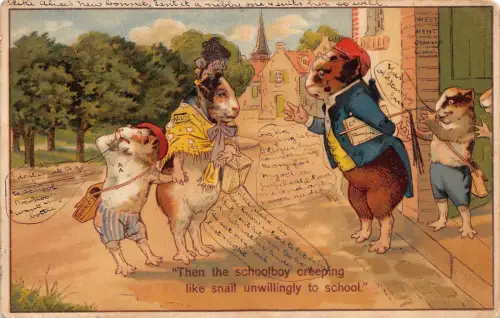 Fantasy 1905 Humanisierte Meerschweinchen Mutter Lehrer Schüler Postkarte B926