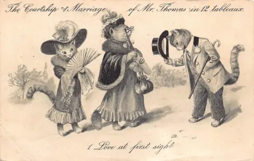 Fantasy 1907 Humanisierte Katzen Liebe auf den ersten Blick Herr Thomas Postkarte B924