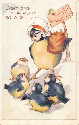 Art Leigi Kidman Humanisierte Vögel Mutter Öffne nicht den Mund Weite Postkarte B922