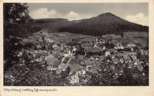 L344 Deutschland Alpirsbach Panoramablick Vintage Postkarte