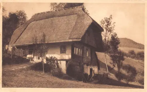 L345 Deutschland 1917 Feldpost 1. Weltkrieg Schwarzwaldhaus Vintage Postkarte