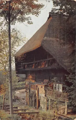 L345 Deutschland 1914 Schwarzwaldhaus Wald Vintage Postkarte