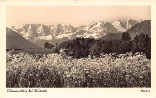 L196 Deutschland Bluumen Blumenfeld bei Münnauer Bergen Vintage Postkarte
