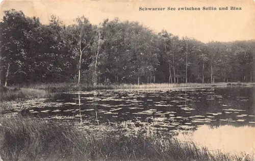 L344 Deutschland Schwarzer See zwischen Sellin und Binzer See Vintage Postkarte