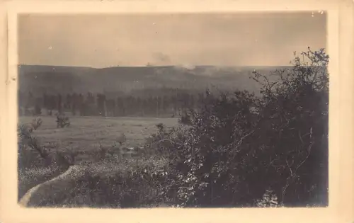 L345 Deutschland Unbekanntes Feldfoto Büsche Wald Vintage Postkarte