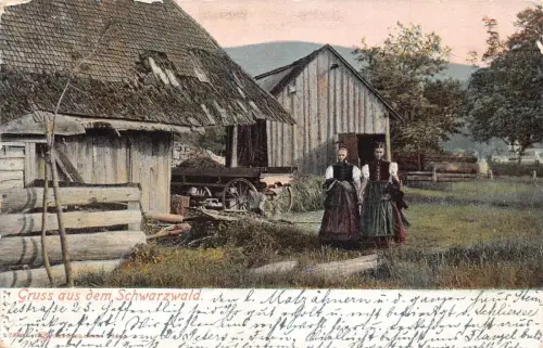 L345 Deutschland 1910 Gruss aus dem Schwarzwald Frau Trachten Postkarte