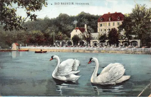 A102 Deutschland 1910 Bad Nauheim Teichhaus Schwanensee Vintage Postkarte