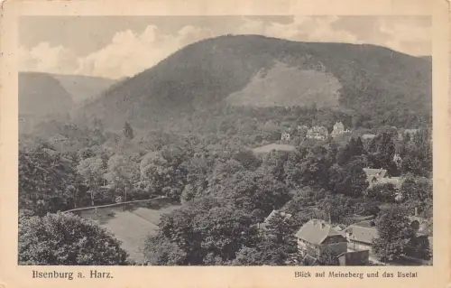 L016 Deutschland 1917 Ilsenburg Harz Meineberg Ilsetal alte Postkarte