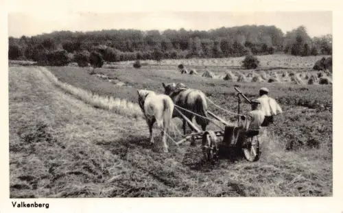 A101 Niederlande Valkenberg Landwirtschaft Bauern Pflug Pferde Vintage Postkarte