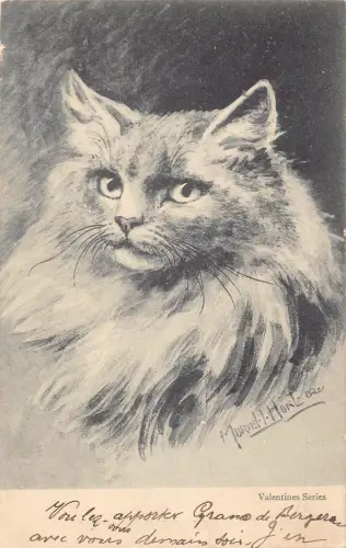 L078 Katze Perser 1904 signiert Muriel Hunt Fantasy Postkarte