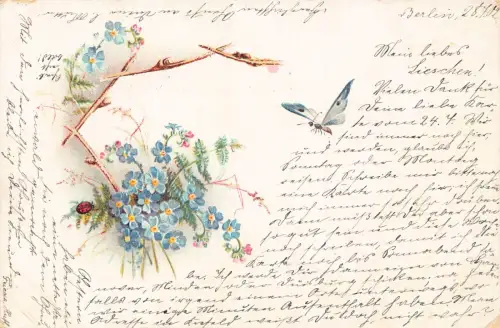 Frühlingsgrüße 1902 Vergissmeinnicht Blumen Schmetterling Marienkäfer Vintage Postkarte