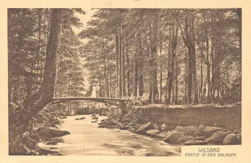 L197 Deutschland Wildbad Partie in den Anlagen Brücke Vintage Postkarte