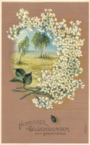 B193 Geburtstagsgrüße 1910 Lilia Blumen Landschaft Passepartout Käfer Postkarte