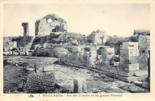 B204 Tunesien Bulla Regia Rue des Temples et les grands Thermes Postkarte
