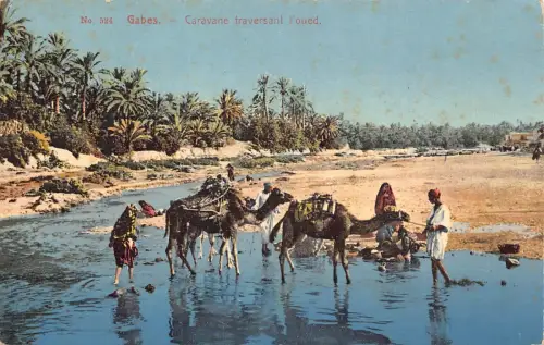 B206 Tunesien Gabes Karawane Traversant l'oued Kamele Vintage Postkarte