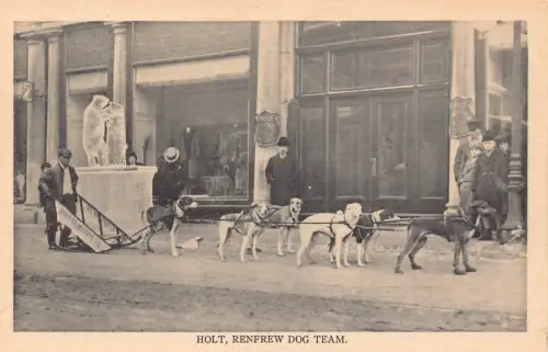 B186 US Holt Renfrew Dog Team Schlitten Vintage Postkarte