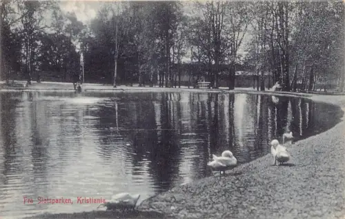 B206 Dänemark Kopenhagen Fra Slotsparken Schwanensee Vintage Postkarte