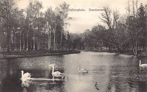 B206 Schweden Drottningholm Suandammen Schwanensee Vintage Postkarte